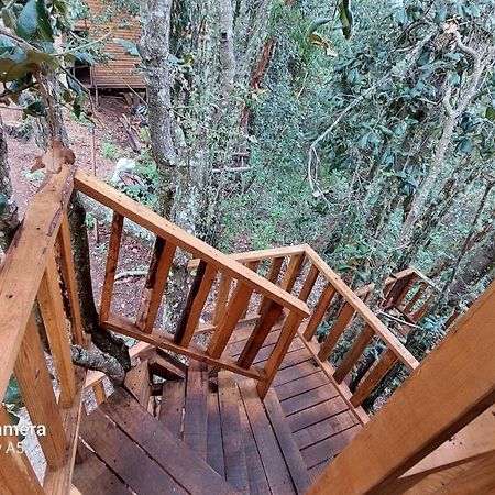 Cabana En El Bosque De San Jose Del Pacifico エクステリア 写真