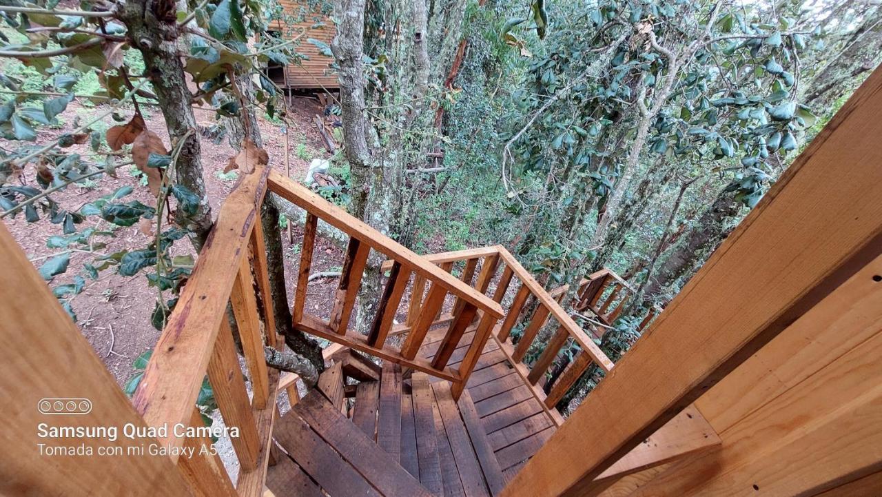 Cabana En El Bosque De San Jose Del Pacifico エクステリア 写真